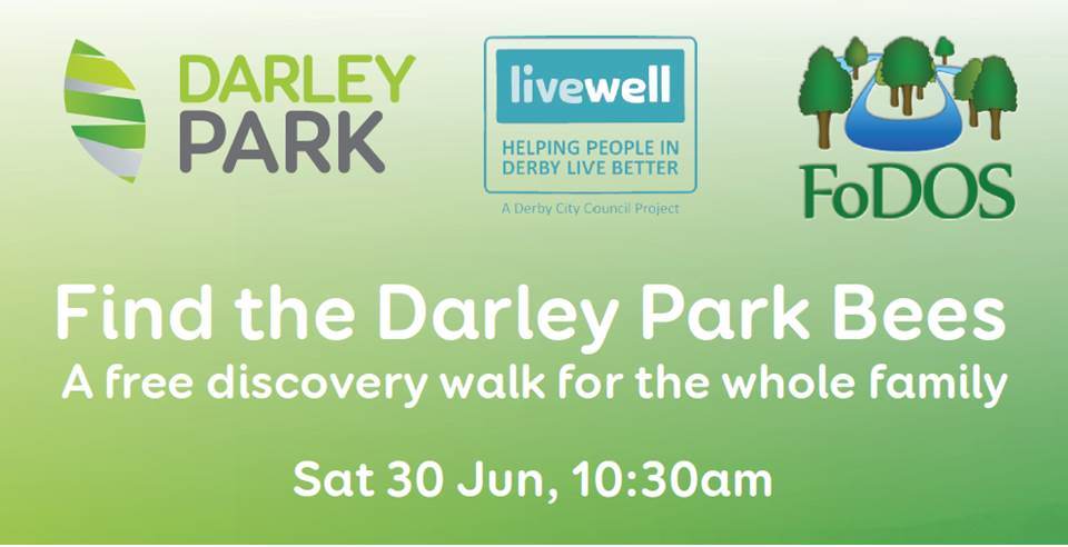 Finding Darley Park Bees event image