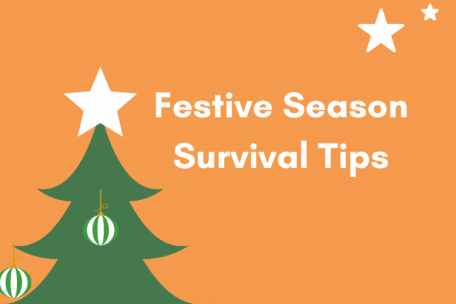 Festive survival guide image